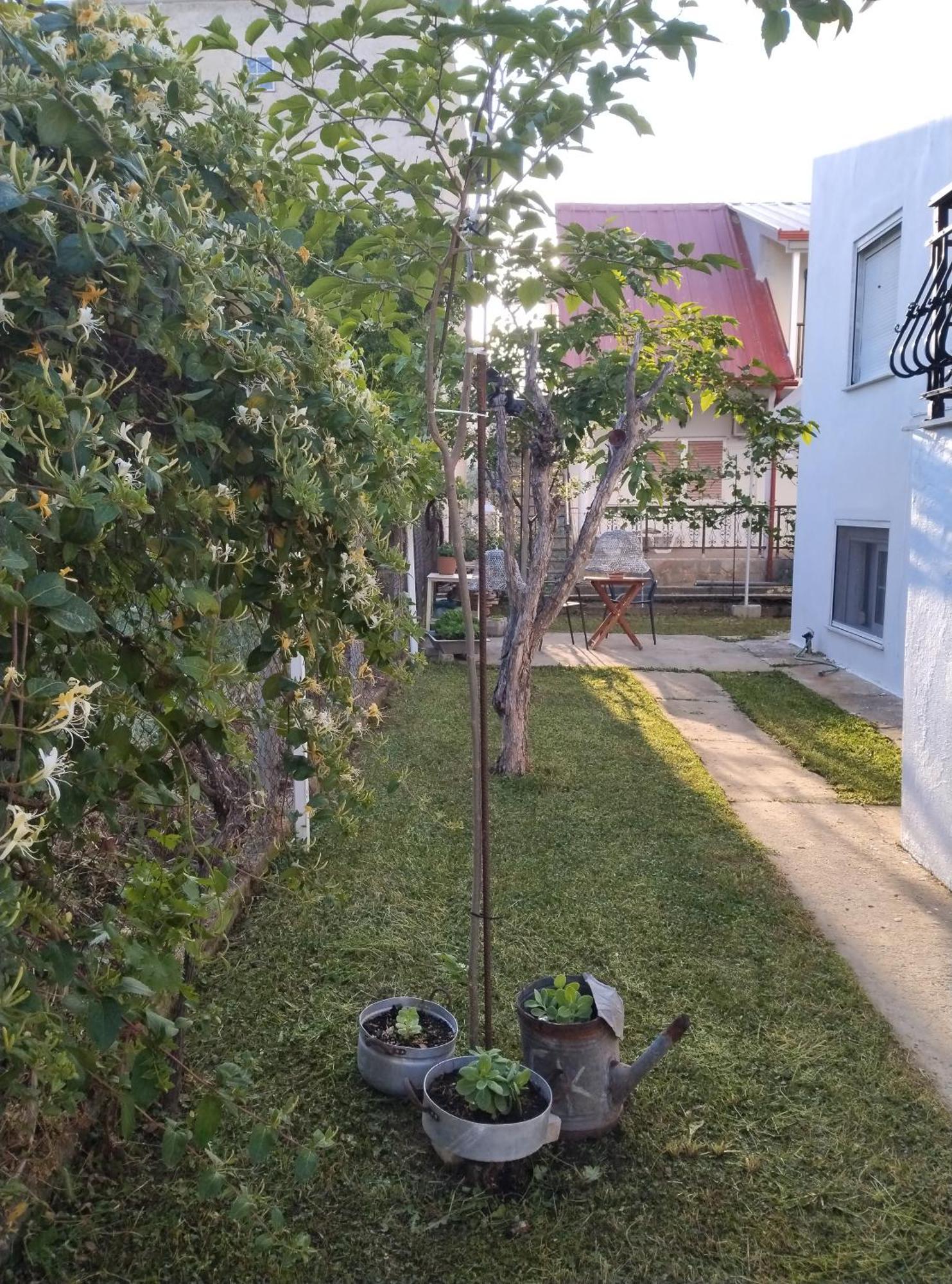 הוילה Vrasná Θαλασσινή Αυρα מראה חיצוני תמונה